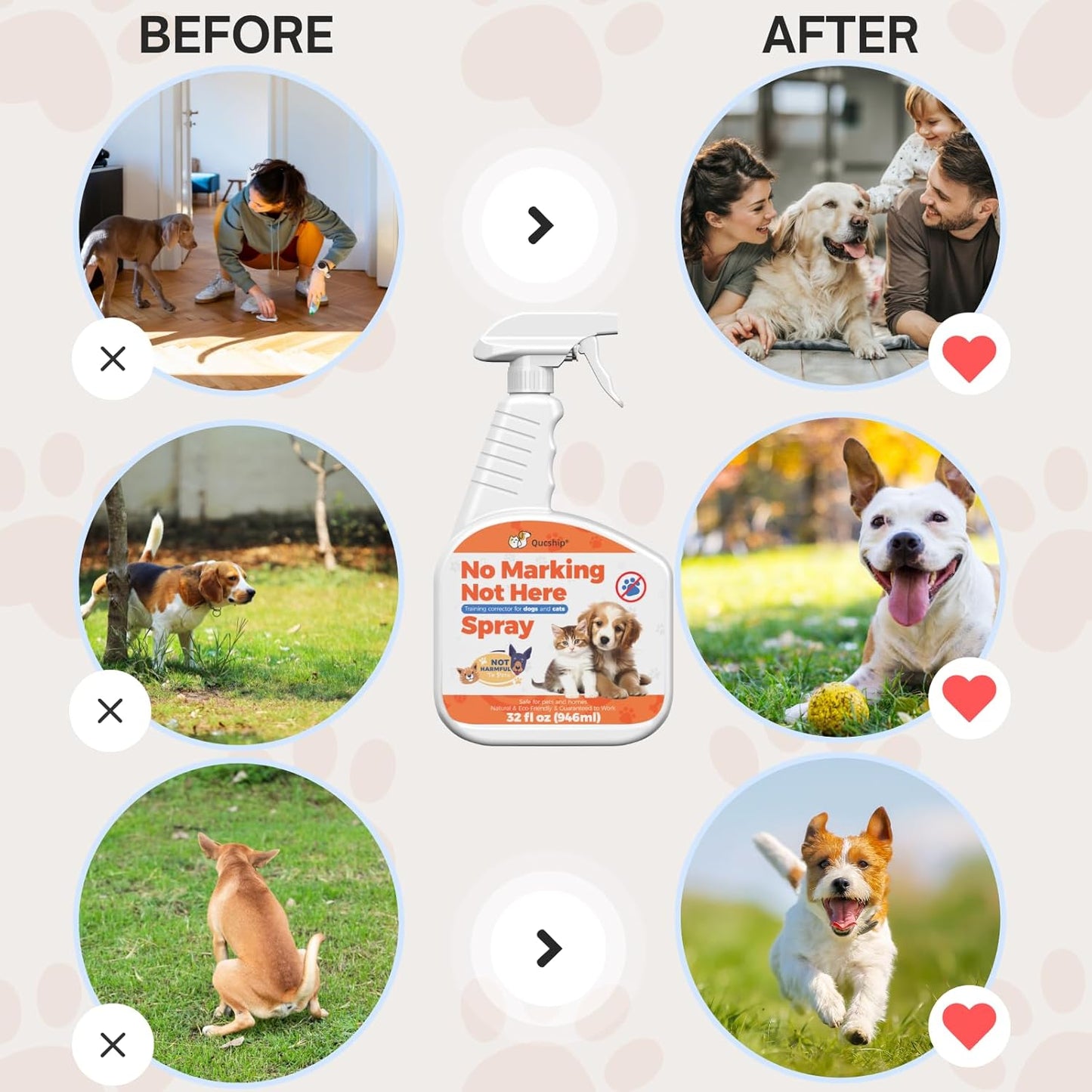 32 Oz Easily Guides Dogs to Urinate in the Right Place to Keep the Home Clean