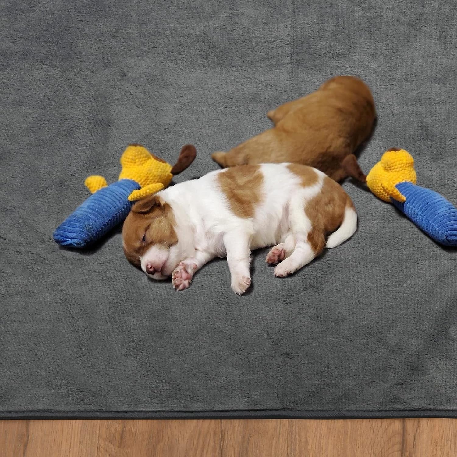Dog Pee Pad Washable-Extra Large 72"X72" Instant Absorb Training Pads Non-Slip Pet Playpen Mat Waterproof Reusable Floor Mat for Puppy/Senior Dog Whelping Incontinence Housebreaking