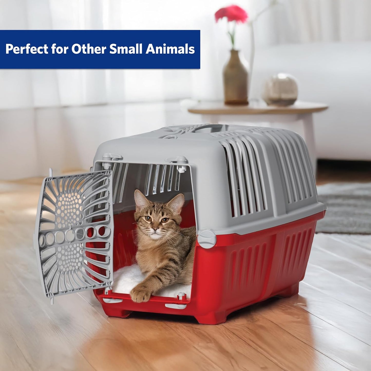 Spree 22" Travel Carrier Red with Plastic Door