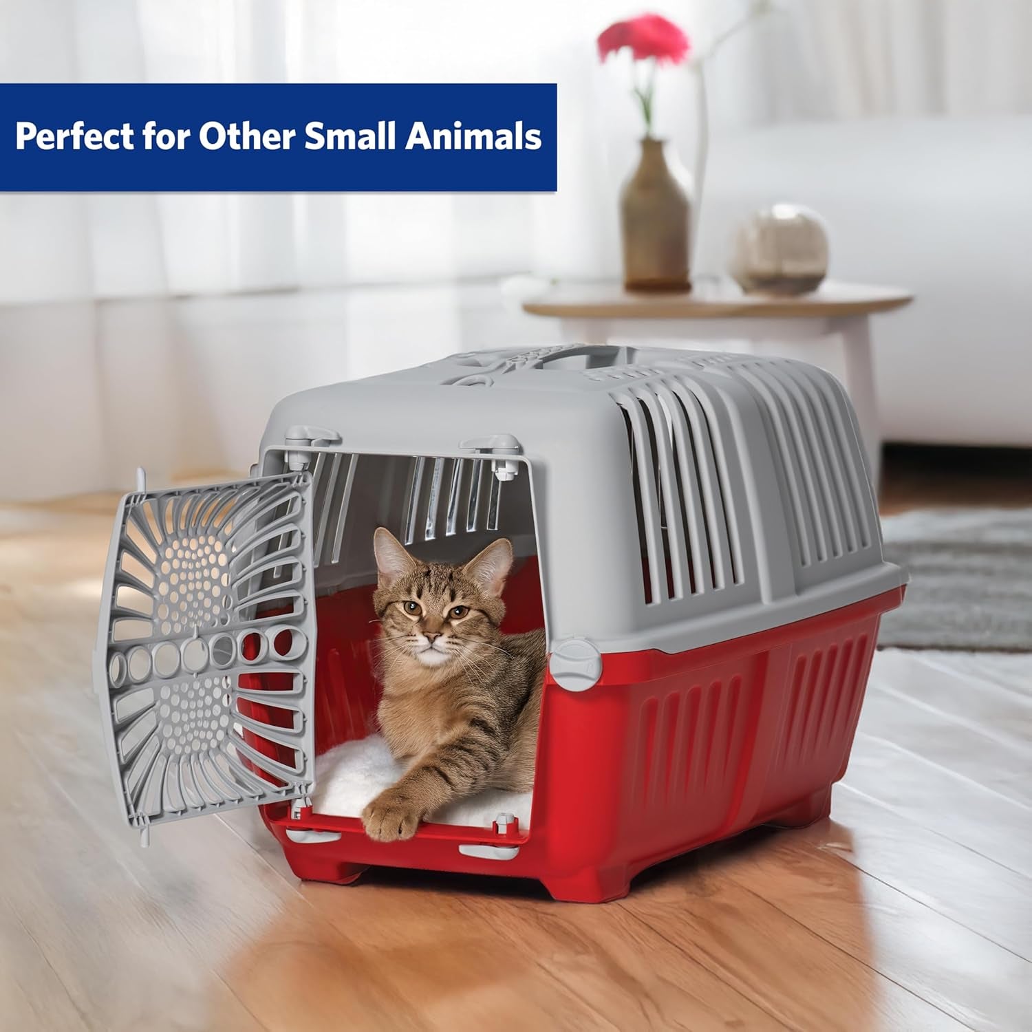 Spree 22" Travel Carrier Red with Plastic Door