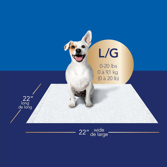 Pet Guard Advanced Dog Pads - Dog Training Pee Pads for Puppies, Medium & Large Dogs - up to 16 Hour Absorbency with Odor Control - Softest Quilted Dog Pee Pads - Large - 22" X 22" - 50 Pack