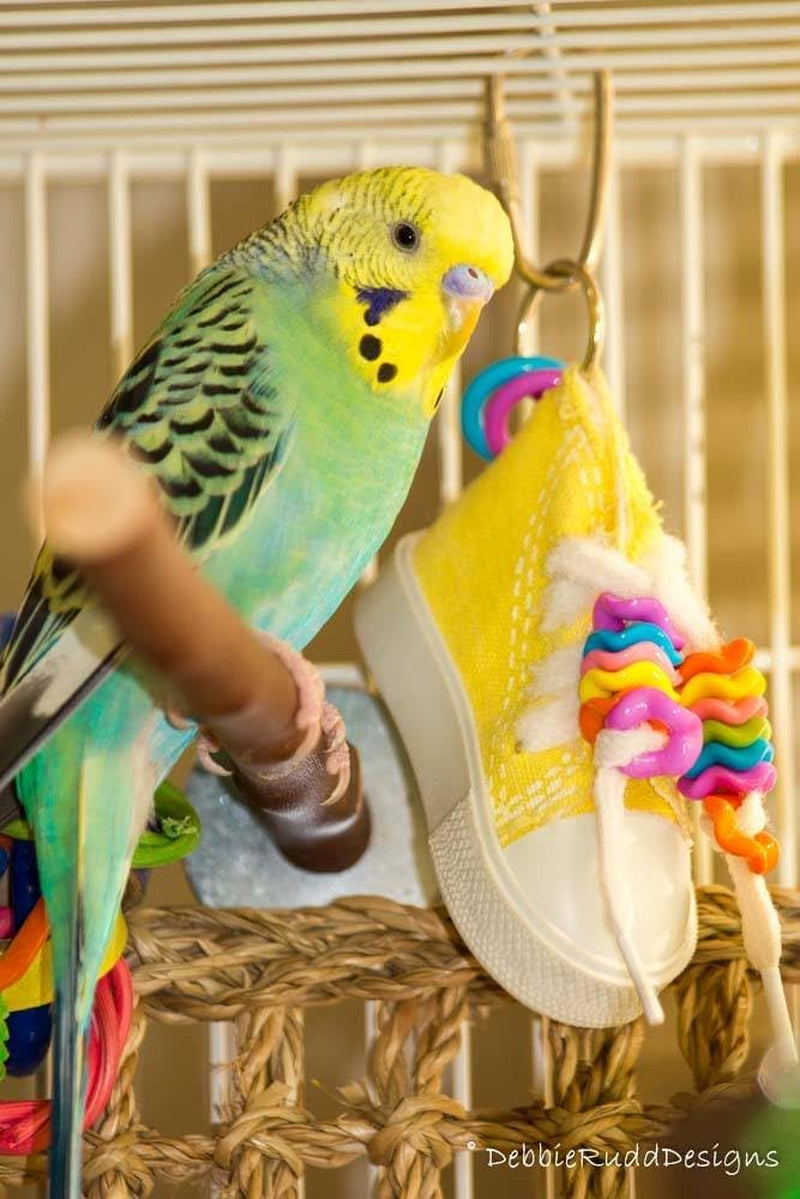 Beaker Sneaker Toy for Birds