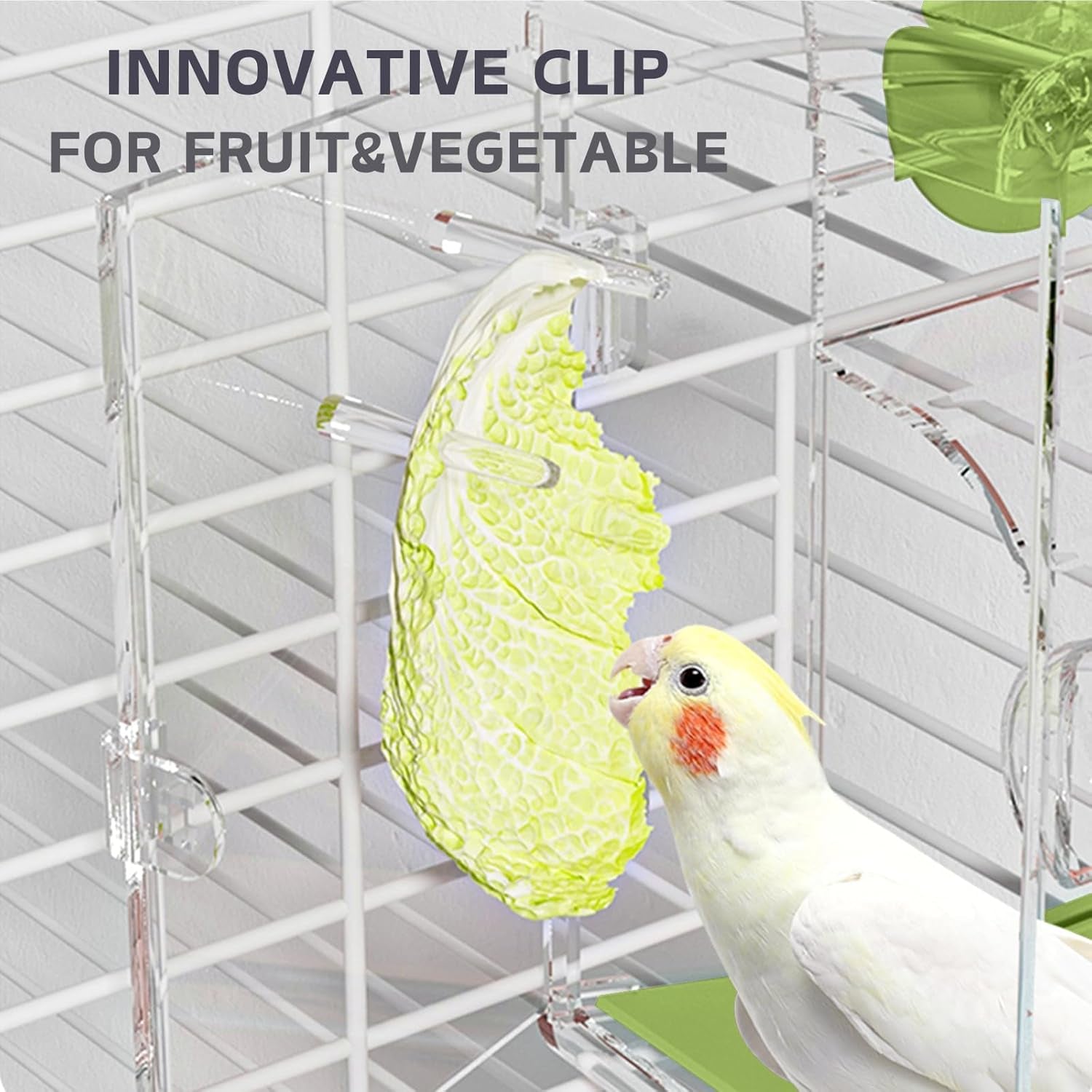 Automatic Bird Feeder, No Mess Bird Cage Feeder with Perch Multi-Functional Holder for Fruits Vegetables for Parakeet Canary Cockatiel Finch (Green)