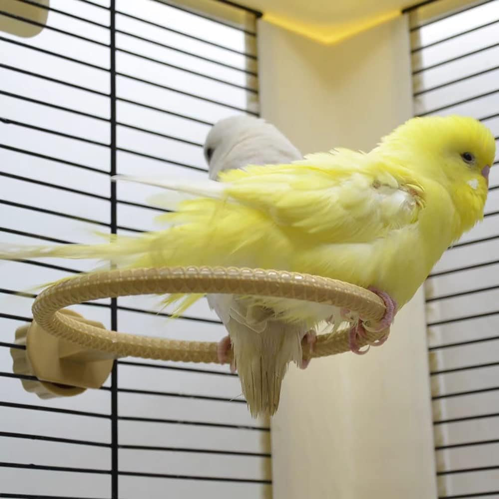 Bird Bath for Cage-4.7" Multi-Function Universal Style Small Tub Bowl for Hang inside Cage Birdbath Shower for Parrot/Parakeets/Cockatiels/Canary/Budgerigar(Green)