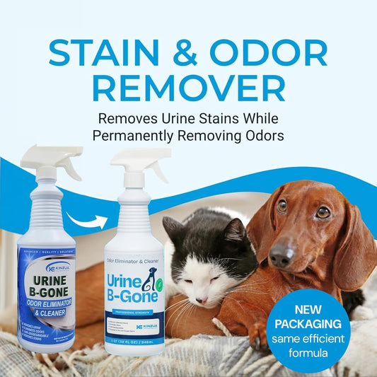 Urine B-Gone, Professional Enzyme Odor Eliminator & Pet Stain Remover, Human, Cat & Dog Urine Cleaner, Effective on Laundry, Carpets & More, Original Scent, 32Oz