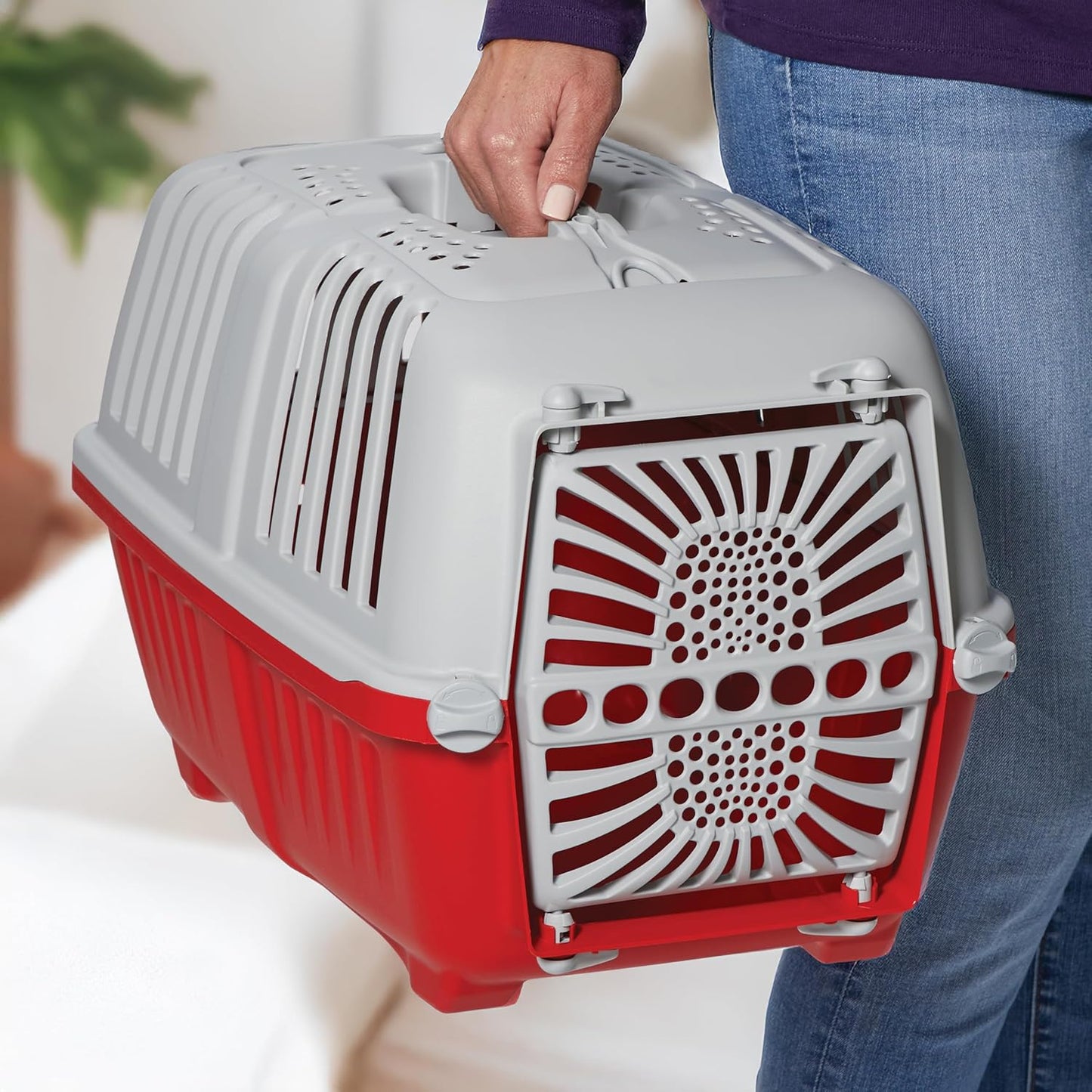 Spree 22" Travel Carrier Red with Plastic Door
