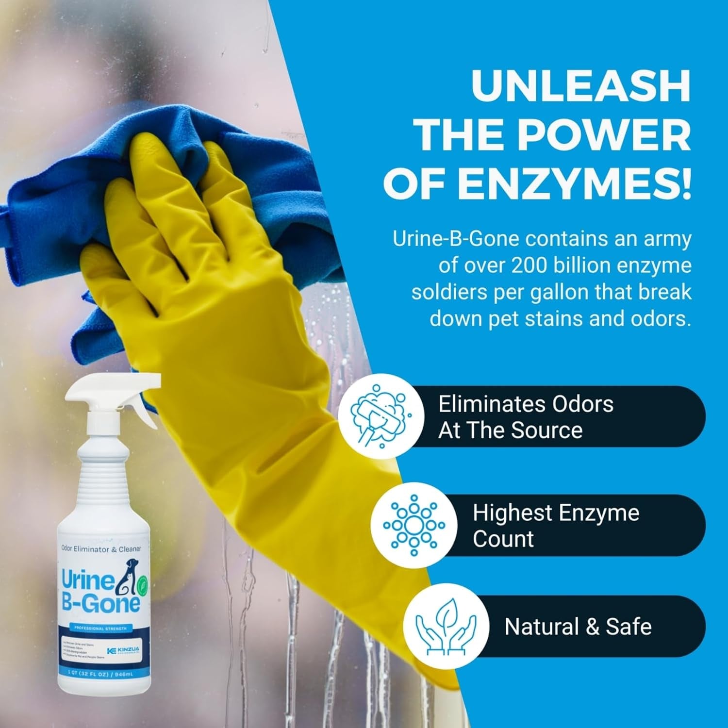 Urine B-Gone, Professional Enzyme Odor Eliminator & Pet Stain Remover, Human, Cat & Dog Urine Cleaner, Effective on Laundry, Carpets & More, Original Scent, 32Oz