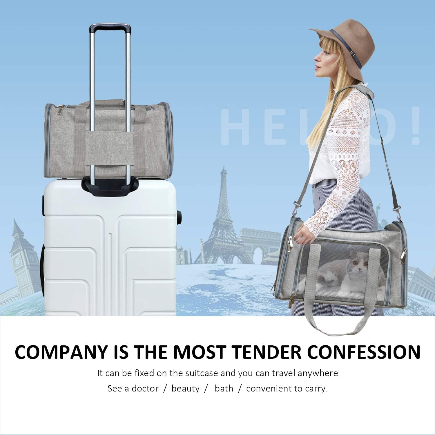 Cat Carriers Dog Carrier Pet Carrier for Small Medium Cats Dogs Puppies up to 15 Lbs, TSA Airline Approved Small Dog Carrier Soft Sided, Collapsible Waterproof Travel Puppy Carrier - Grey