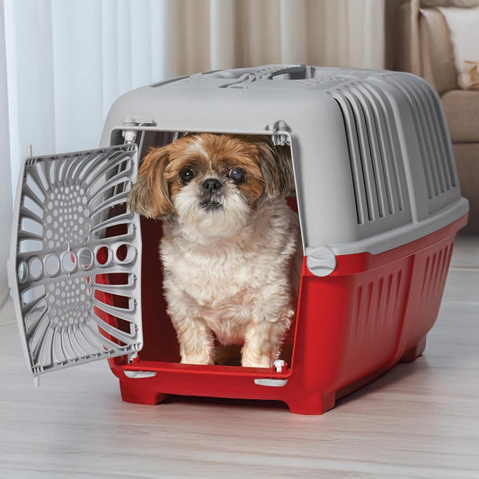 Spree 22" Travel Carrier Red with Plastic Door
