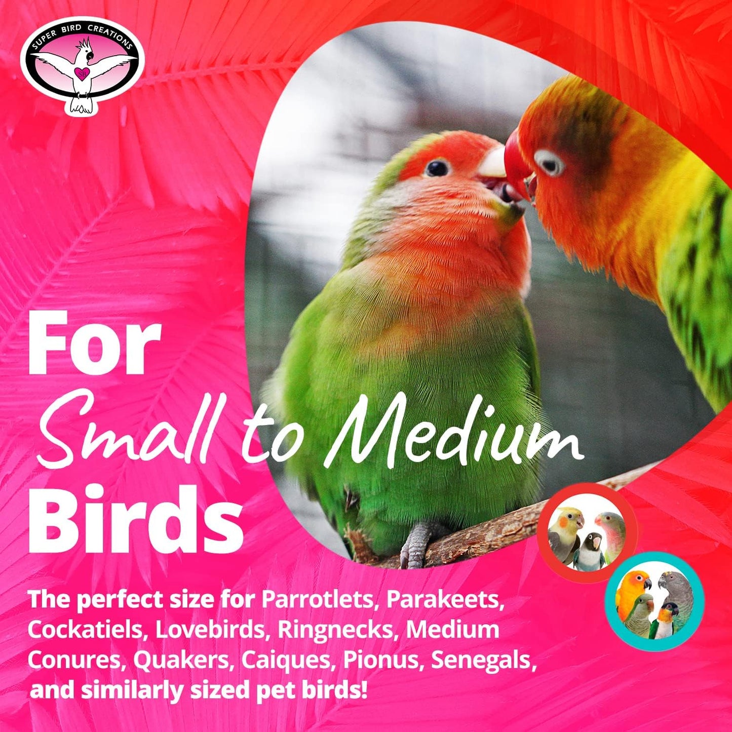 Beaker Sneaker Toy for Birds