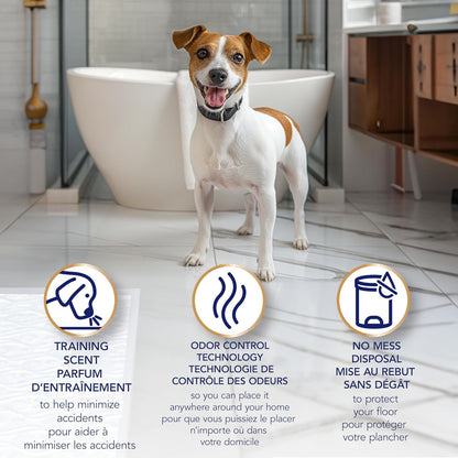 Pet Guard Advanced Dog Pads - Dog Training Pee Pads for Puppies, Medium & Large Dogs - up to 16 Hour Absorbency with Odor Control - Softest Quilted Dog Pee Pads - Large - 22" X 22" - 50 Pack