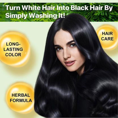 Yecuce Herbal Ingredients Hair Color Shampoo for Gray Hair Coverage - Black or Coffee Hair Dye Shampoo 3 in 1 for Women Men Grey Hair (500Ml) Springtok Haircare
