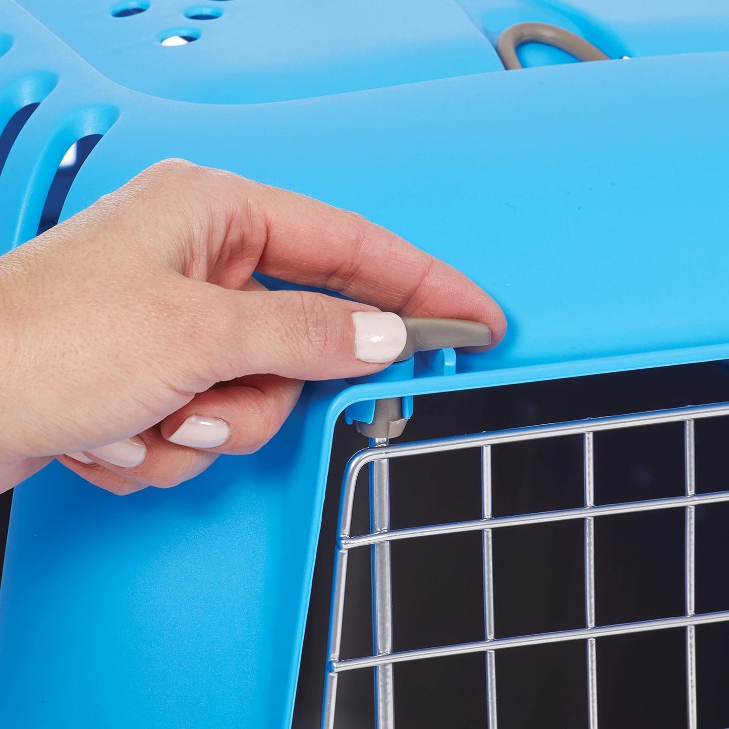 Pet Carrier: Hard-Sided Dog Carrier, Cat Carrier, Small Animal Carrier in Blue, inside Dims 17.91 L X 11.5 W X 12 H & Suitable for Tiny Dog Breeds, Perfect Dog Kennel Travel Carrier for Quick Trips